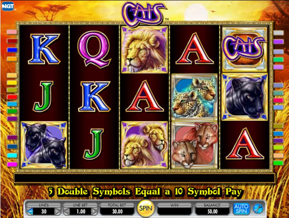 Cats Online Slot Gameplay