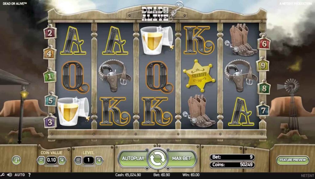 Dead or Alive Online Slot game play