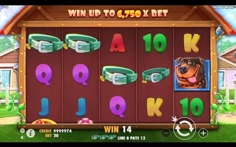 The Dog House Online Slot g ex